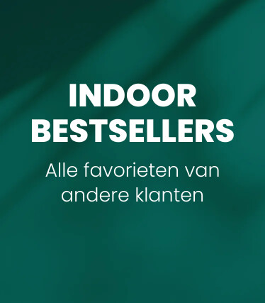 Indoor bestseller